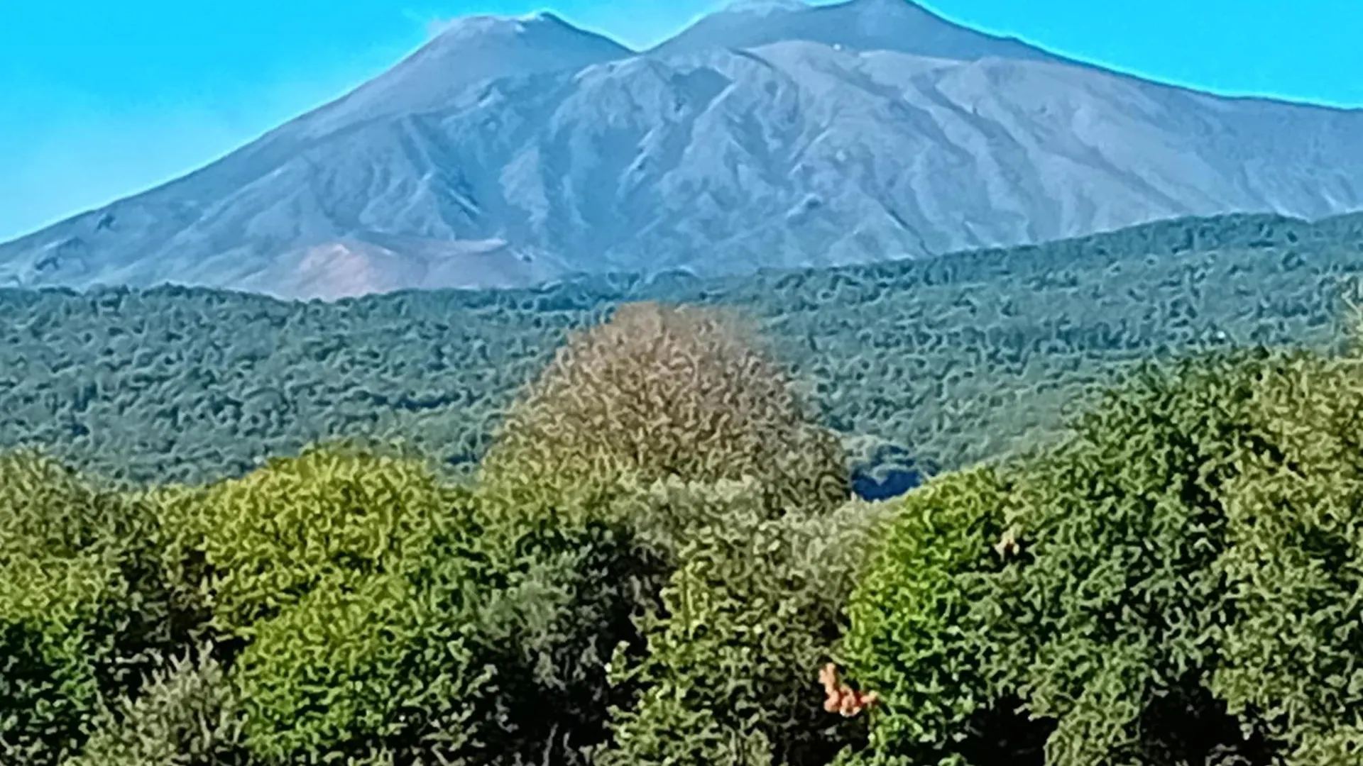 Casa Piedimonte Mare Etna Villa Fiumefreddo di Sicilia Italy