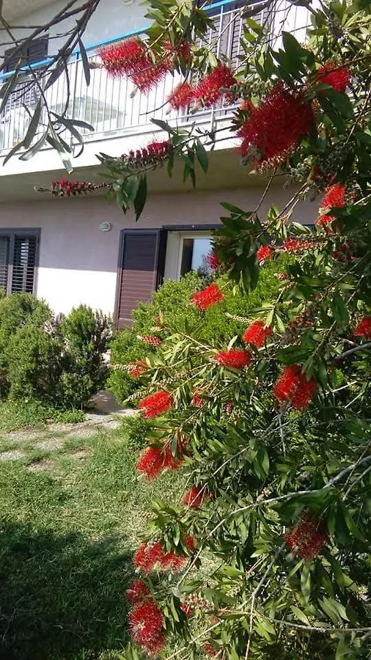 Casa vacanze Alloggi Vacanze Etna Paradiso Taormina Fiumefreddo di Sicilia Italia